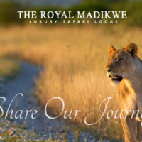 The Royal Madikwe